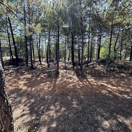 Appartement Au Bord De Mer Сен-Бревен-ле-Пен Екстериор снимка